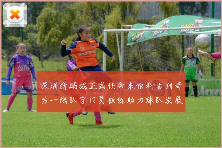 深圳新鹏城正式任命米伦科吉利奇为一线队守门员教练助力球队发展