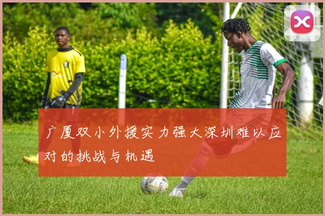广厦双小外援实力强大深圳难以应对的挑战与机遇
