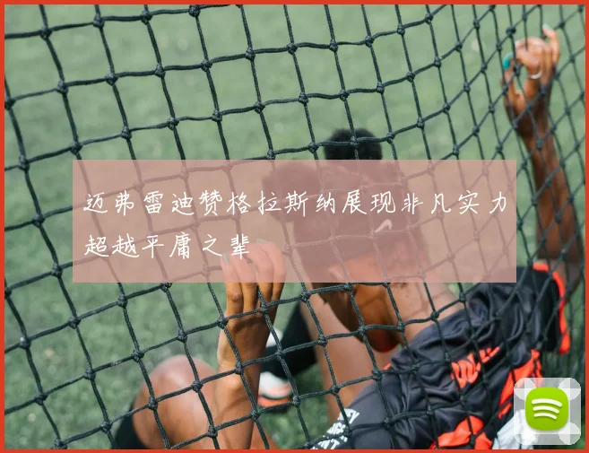 迈弗雷迪赞格拉斯纳展现非凡实力超越平庸之辈