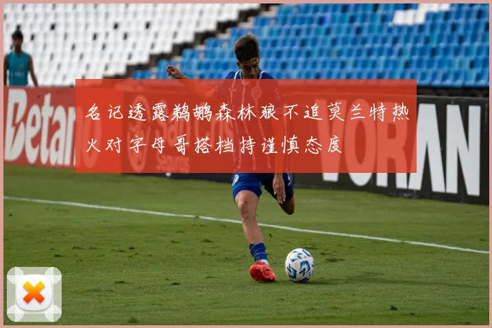 名记透露鹈鹕森林狼不追莫兰特热火对字母哥搭档持谨慎态度